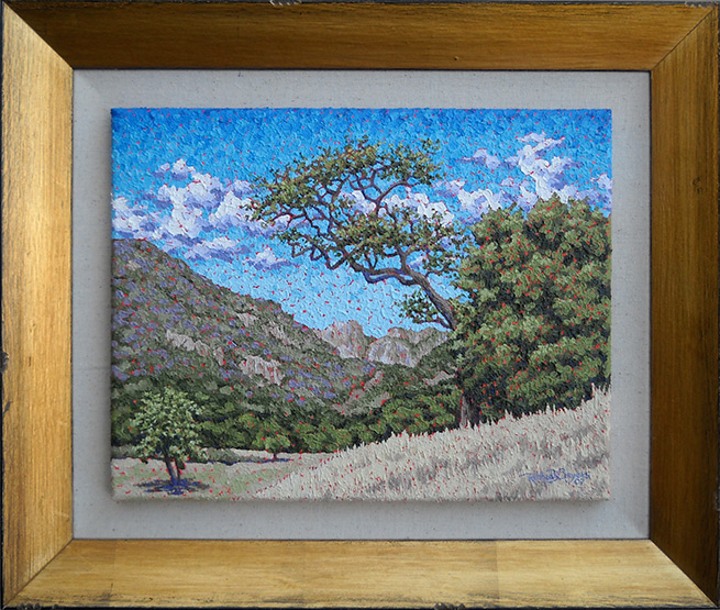 949-689-2047 California landscape