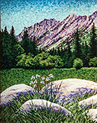 949-689-2047 California landscape